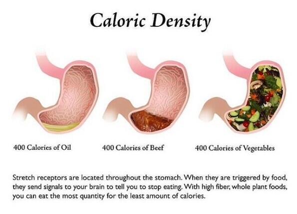 SialaFitness's tweet image. Make good choice #eatclean #healthyeating #fiber #plantfood #trainhard #kuwait