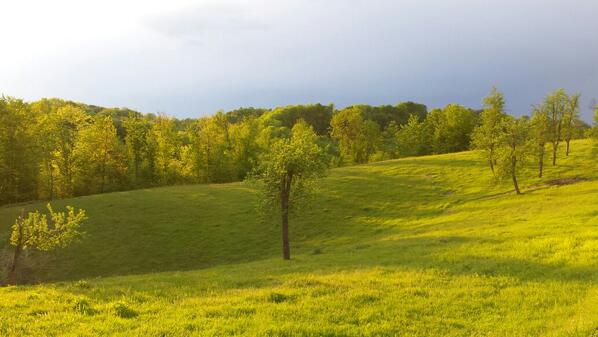 Radenko Stevanovic (@radenkors) on Twitter photo 