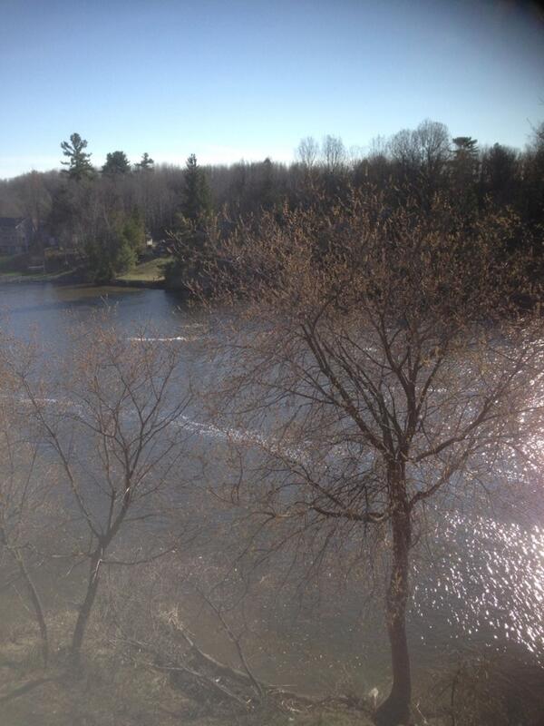 WHATcorp's tweet image. Up bright and squirrely. #Monterey Hotel #firstbreakfast