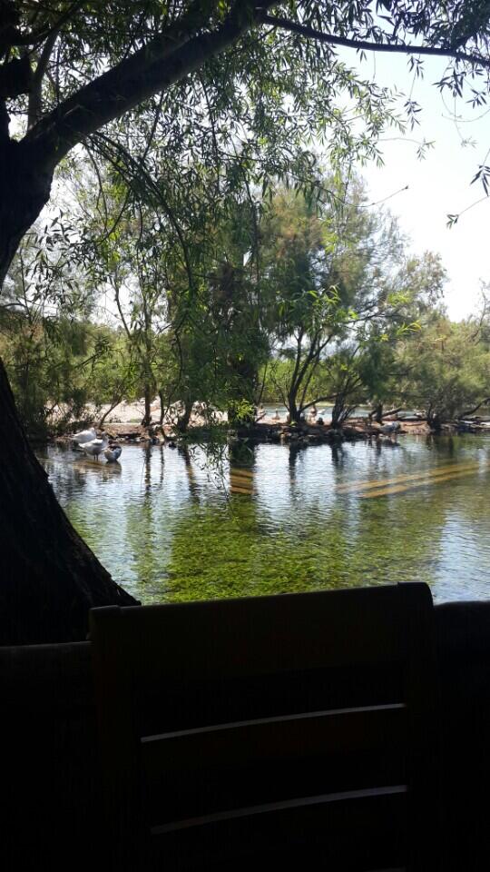 halimesanver's tweet photo. I'm at Nadir Usta'nın Yeri (Mugla) w/ 3 others http://t.co/vBJSH6Zjjj http://t.co/fuj2R1LUgs