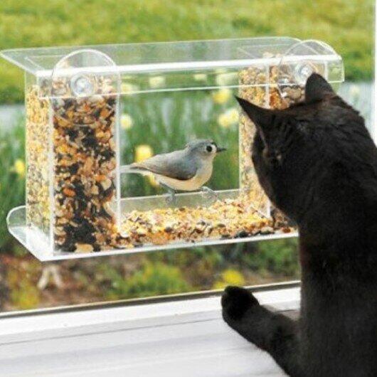 Techzoid's tweet image. ~One-Way-Mirror Bird Feeder~
Buy here: amzn.to/1fOXhoh
#Nature #bird #cat #spring #animals #pet #wildlife