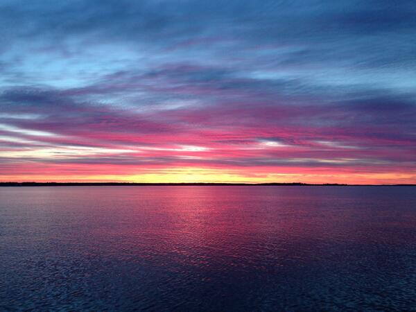 capecodshelld tweet picture