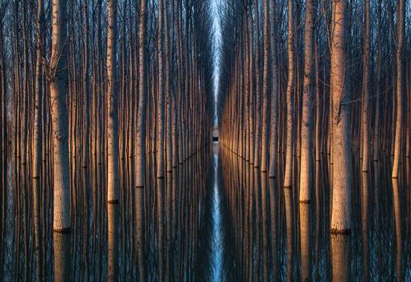 Gabriele_Corno's tweet photo. "La fuerza de las lineas en la fotografia" / Simmetry, Spain by Oliver Delgado #simmetry #CGE #geometry #nature http://t.co/5iRDYfRQzs