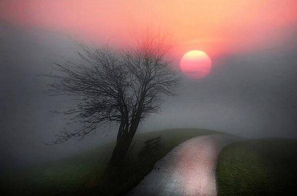 Gabriele_Corno's tweet photo. Spring Avenue by Veronika Pinke #mystic #CGE #Path http://t.co/6slNC7NFeS