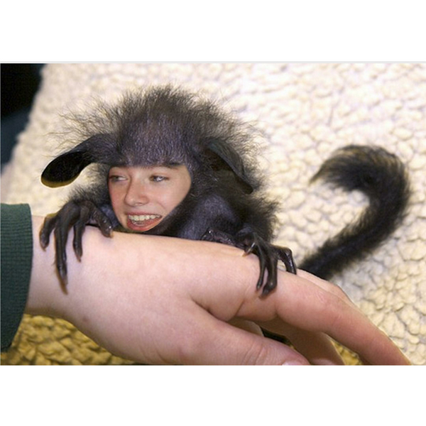 _AmberRoseClark's tweet photo. @bbaarsvold  You're cute :) http://t.co/jFv85k8lTF