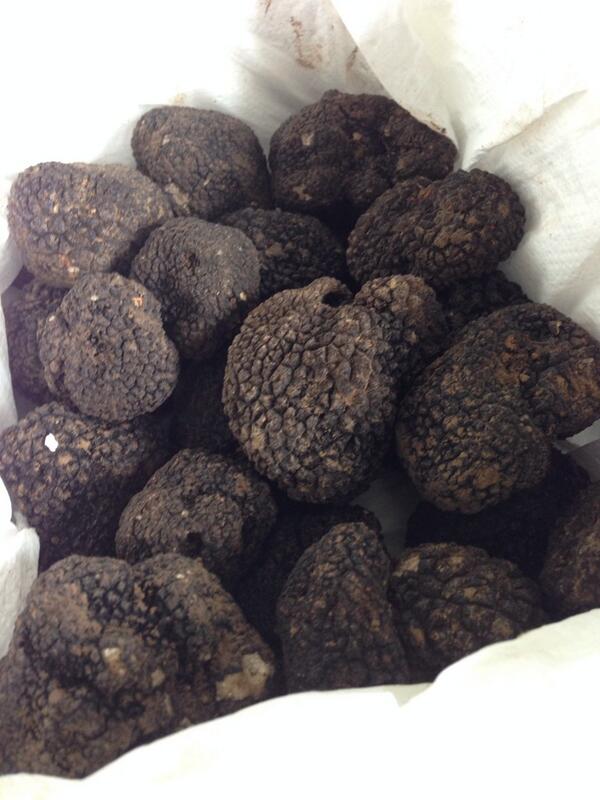 Latest arrival. Yummy!! Watch this space could be a flash sale before the weeks out..!!