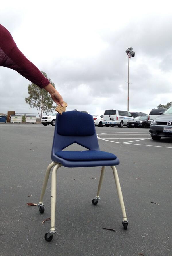PoopCapo tweet picture