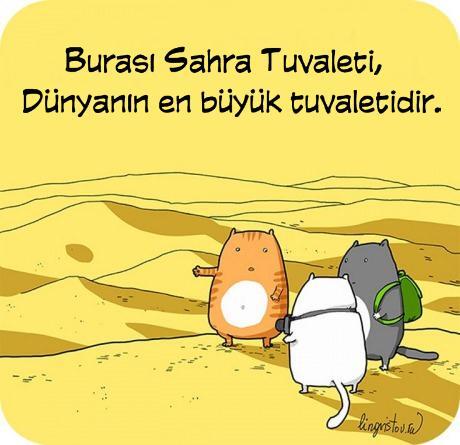 VoW (@voiceofworldco) on Twitter photo 