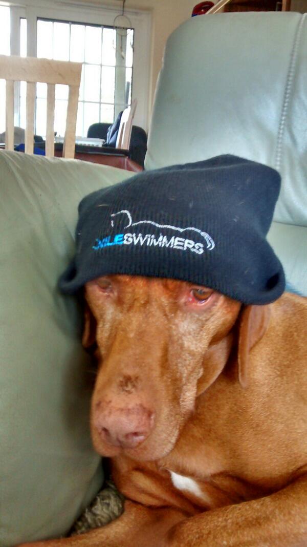 CrashTestDom's tweet image. Supporting the cause :-) #StopDrowning @nileswimmers @BULSCA