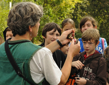 NOAAClimate's tweet photo. ICYMI: Tips and resources for using the #USClimateReport when teaching about #climate #NCA2014 http://t.co/QaZ9ph3l2e http://t.co/JgAb6UdMe1
