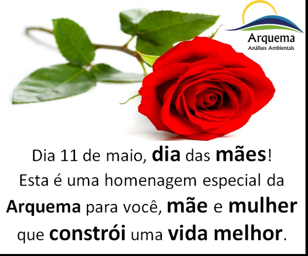 Arquema tweet picture