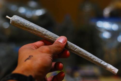 джоинт. джойнт косяк. кручу джоинт. термо джоинт. блант сплиф джойнт разница.