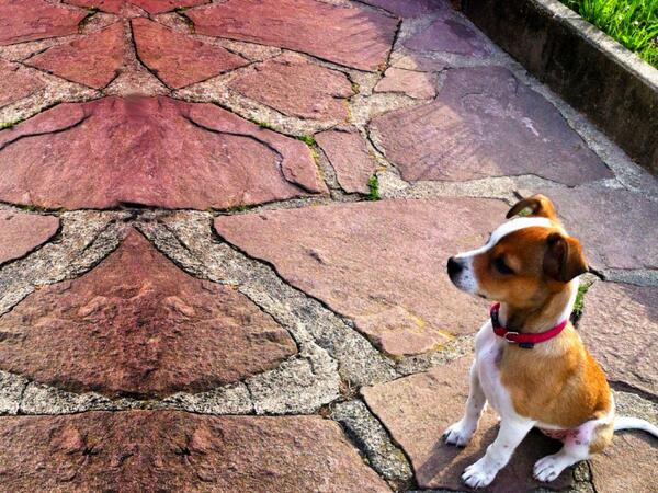 CrestviewAustin's tweet image. The Cross: stumbling block or stepping stone? Listen to the Cross of Christ series conclusion: crestview.net/media.php?page…