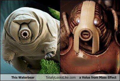 CapGreg88's tweet image. yup very similar