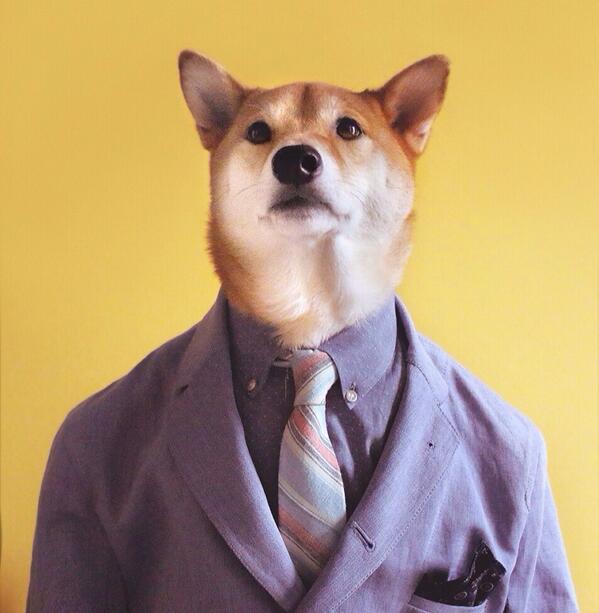 Mensweardog's tweet photo. Started from the bottom, now we're here #comodosquare http://t.co/LlrYClSPAV