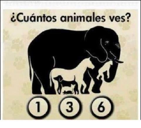 SarayLucerito's tweet photo. Hay mas Que uno http://t.co/HGZqO4JN3Y