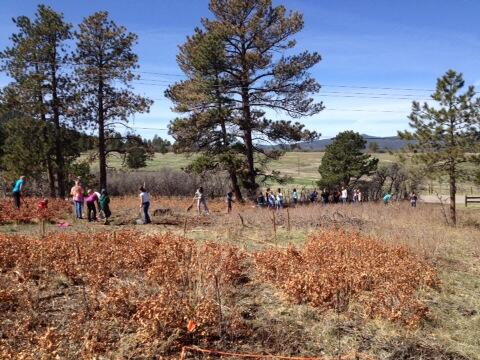 6th graders doing work today to create trails @ LES.  Great service learning project in our EIC program!