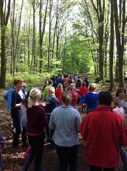 Groep 7/8 van lichtwachter en pionier op safari in #voorsterbos.