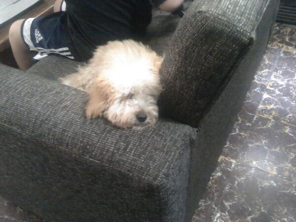 car866's tweet photo. Ponete cómodo http://t.co/H28eNlFzLV
