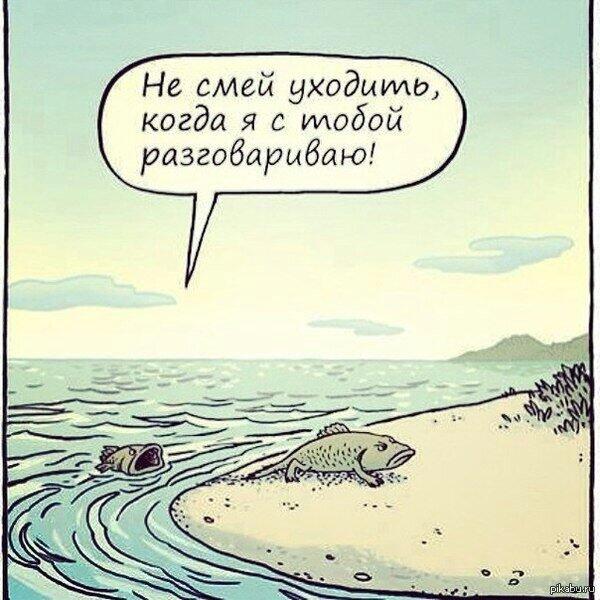 Одна из вероятных причин эволюции:)