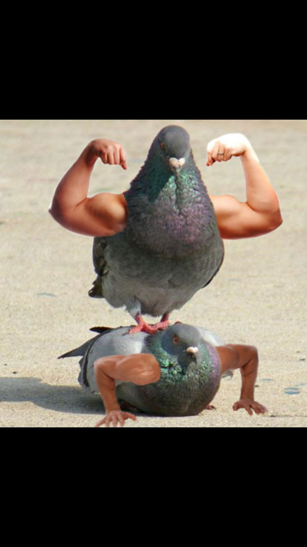 averagepidge's tweet photo. @whiskeyhegarty you dirty mutha fucka, come at me bro http://t.co/igqSEH7QAY