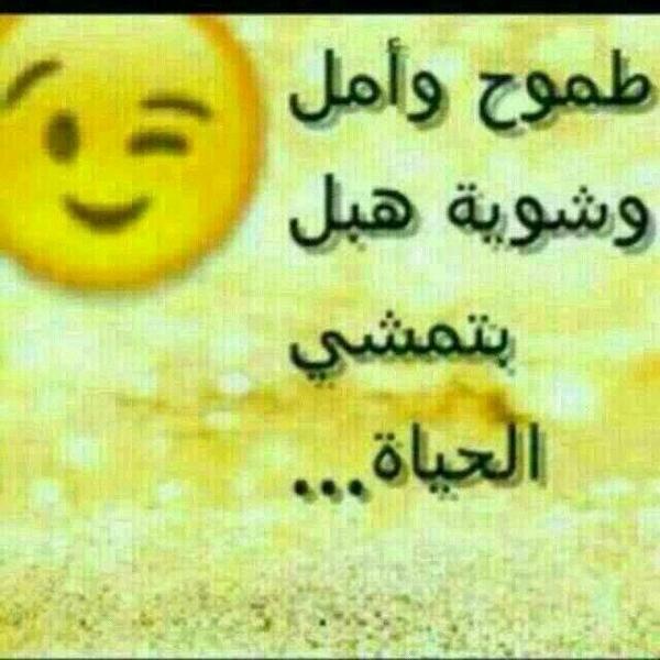 DecoMaalof's tweet photo. هيك ولا مش هيك http://t.co/7KFSXal82g