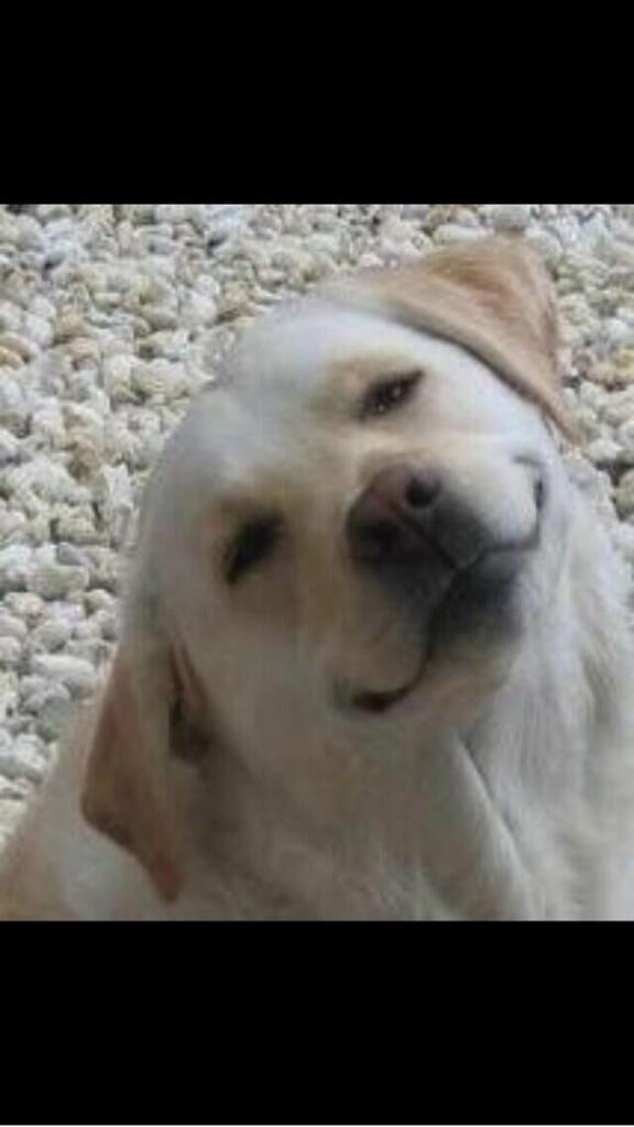 trofimovara's tweet image. #3DaysUntilProblem 
@ArianaGrande