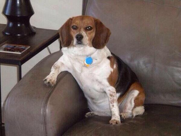 fairyhosk's tweet image. #3DaysUntilProblem l'll be waiting here like