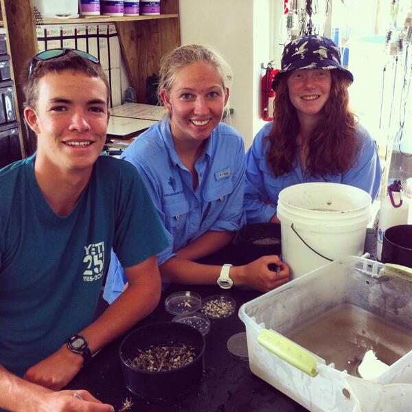 CORE_Science3's tweet photo. One half of @TheIslandSchool #TeamStingray with our #PatchReef samples! 2/3 there! @edd_brooks @CEIbahamas @jisham http://t.co/tePeG1sWze