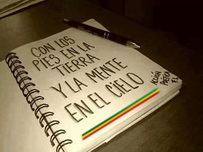 Vida Rasta tweet media