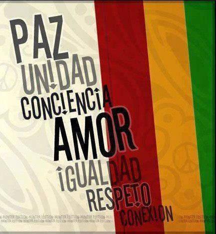 Vida Rasta tweet media