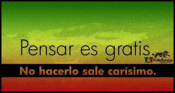 Vida Rasta tweet media