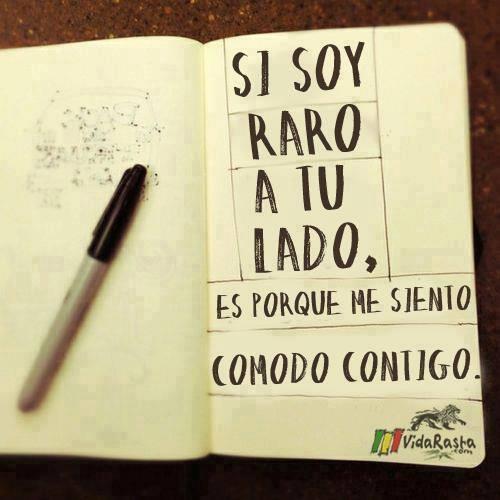 Vida Rasta tweet media