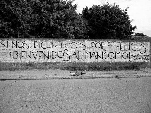 Vida Rasta tweet media