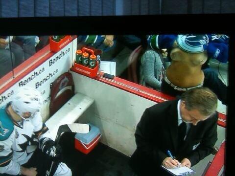 Flashing At Hockey Game