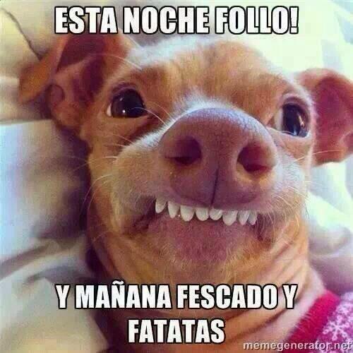 LuisSilva1995's tweet photo. http://t.co/NKbzT8Lhkt