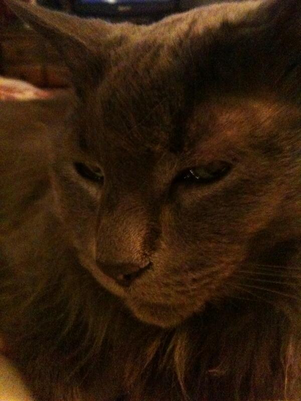 me017557's tweet photo. #he loves me http://t.co/atH7Pevzwt