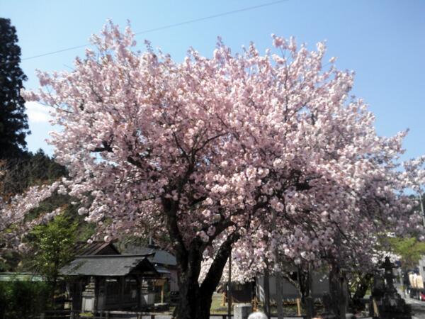 町 天気 丹波 京