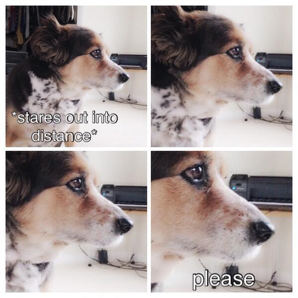 FluffKambach's tweet image. @ArianaGrande can we get another preview of Problem? 

#3DaysUntilProblem