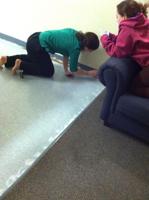 LindsayJohnsen's tweet image. #antproblems 🐜