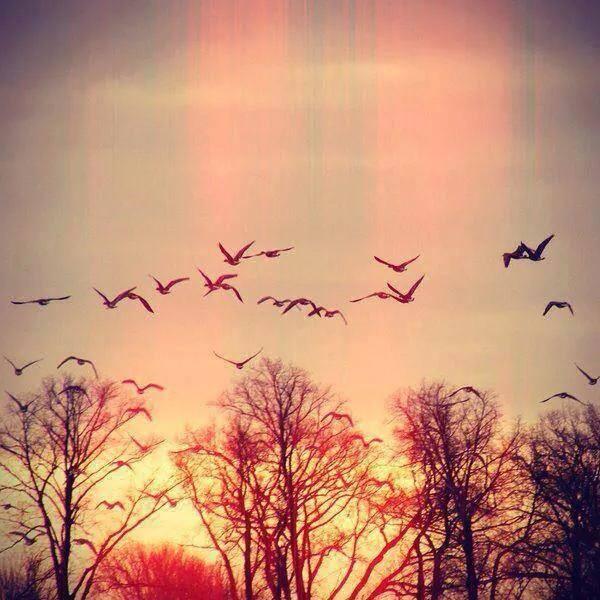 Nayif2002's tweet photo. فإن كانت الأجسامُ منا تباعدت
فإن المدى بين القلوب قريبُ http://t.co/LFcwWoSf8k