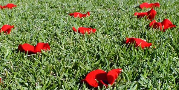 Centenary Institute tweet media