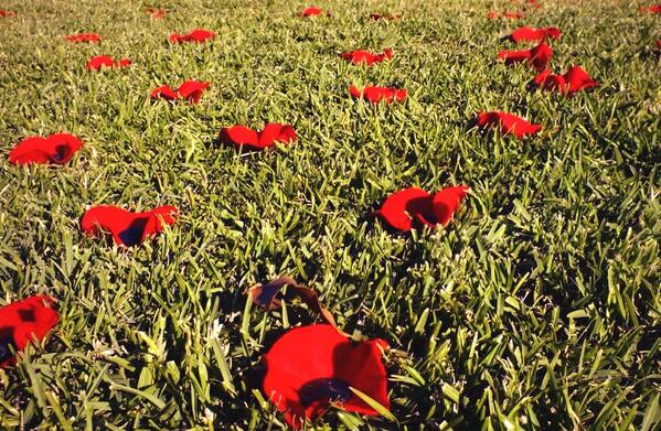 belmorenurses's tweet photo. Thank you. #ANZACDay2014 http://t.co/S9ukt5I1Sy