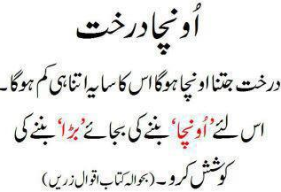 Best Funny Quotes in Urdu Aqwal e Zareen Urdu Quotes Siasat pk Forums Best Funny Quotes in Urdu Aqwal e Zareen Urdu Quotes Siasat pk Forums