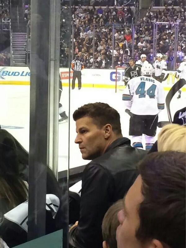 kellyvannevel's tweet photo. @David_Boreanaz my brother just sent this to me from the game...he knows I am a big fan of hockey &amp; you!!! http://t.co/C7bZOh5c0k