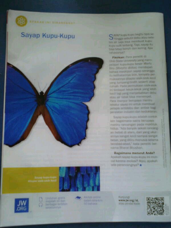 arfanJKT48's tweet photo. Dan ini penampakan bagian belakang majalah itu.. Dan di bawah sebelah kanan ada alamat web nya.. :) *6 http://t.co/OcKwhT5cEb