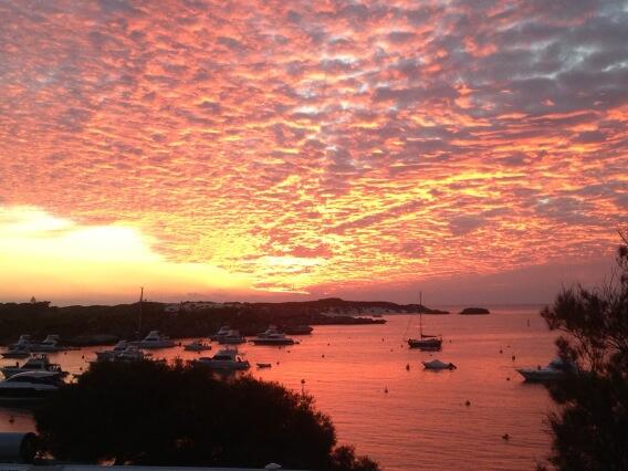 hooperandy75's tweet photo. Another perfect day at Rottnest Island http://t.co/OIVTLrNGI2