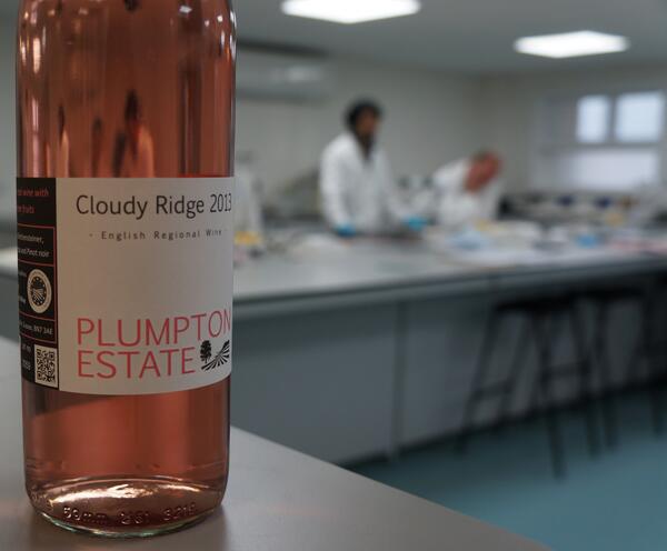 Showing off the new look 2013 Plumpton Estate Cloudy Ridge Rose, made by this years wine production students.