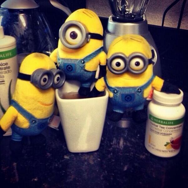 ProNutriStore's tweet image. Revive &amp;amp; refresh in the morning with Instant Herbal Beverage #Herbalife #Minions #KickStartYourDay #PSN