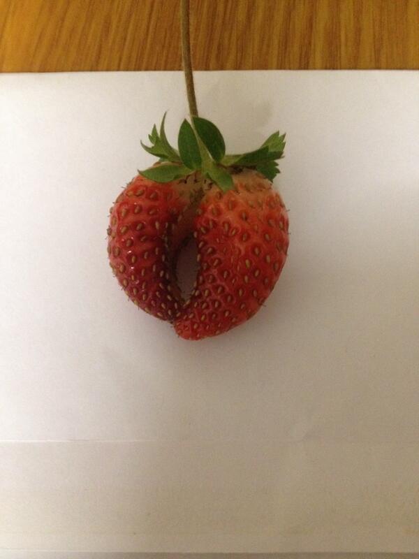 patchupstairs's tweet photo. A strawberry from my garden http://t.co/NJBv3GQ3Uh